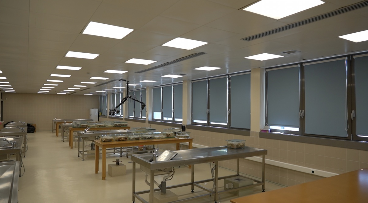 Wet Lab Ιατρικής Σχολής Πανεπιστημίου Θεσσαλίας